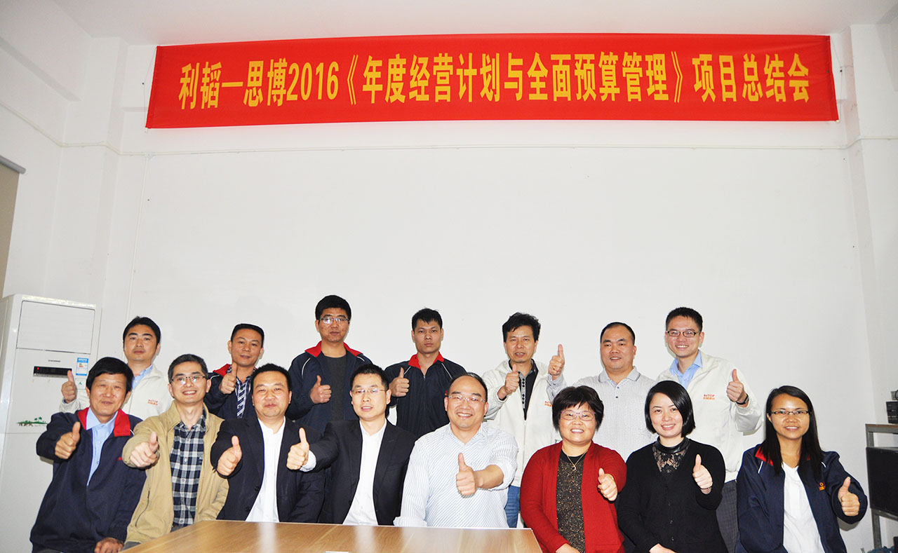 駐廠咨詢/年度經(jīng)營計劃與全面預算管理/利韜公司項目總結會